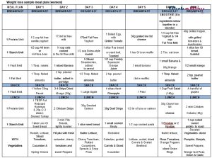 30 Day Diet Meal Plan Template | room surf.com