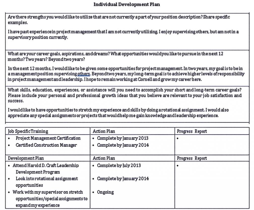 Individual Development Plan Templates | room surf.com