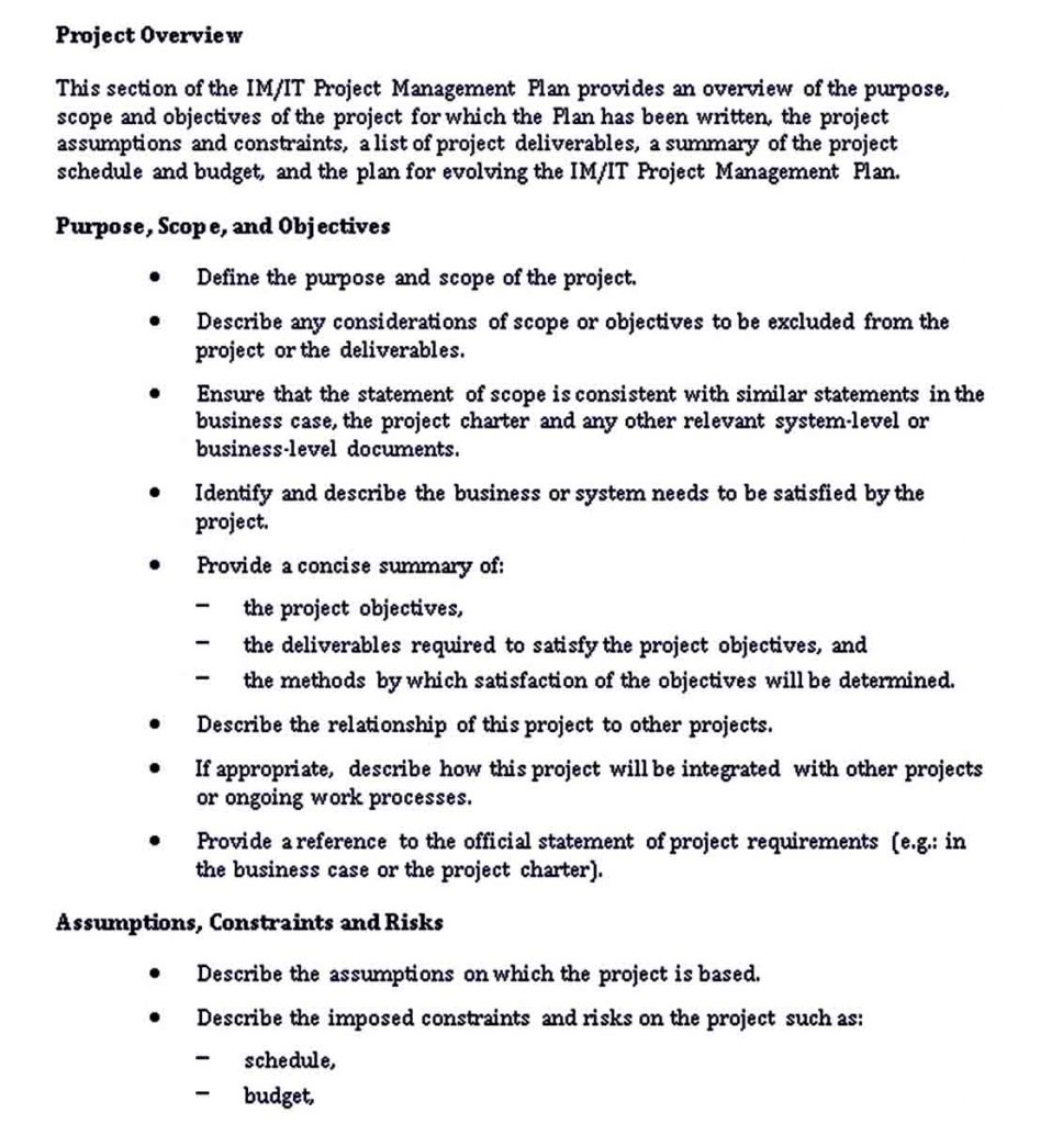 Information Technology Project Plan Template | room surf.com