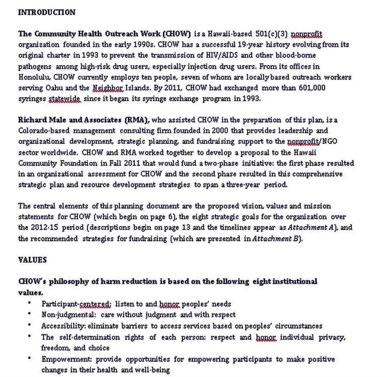 Non Profit Organization Strategic Plan Template room surf com