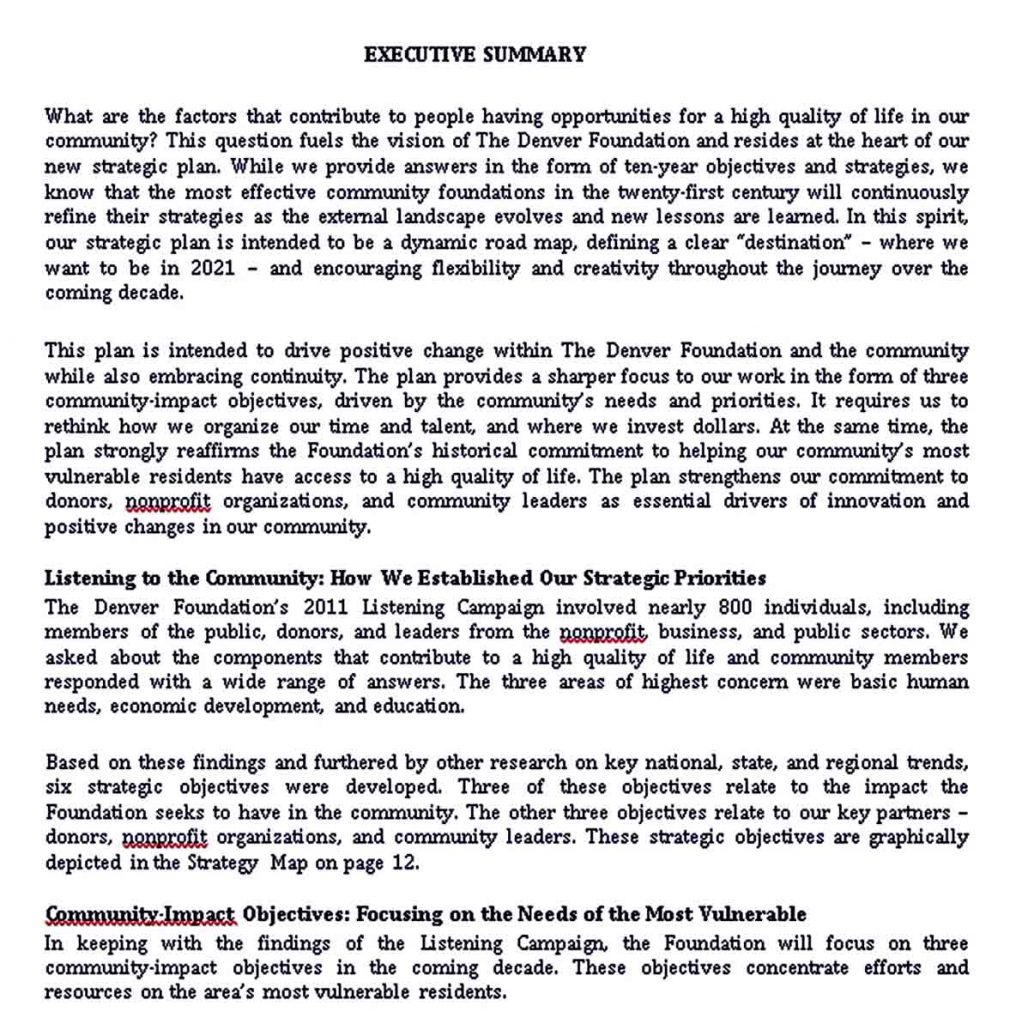 Non Profit Organization Strategic Plan Template room surf com