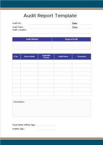 10+ Audit Report Template | room surf.com