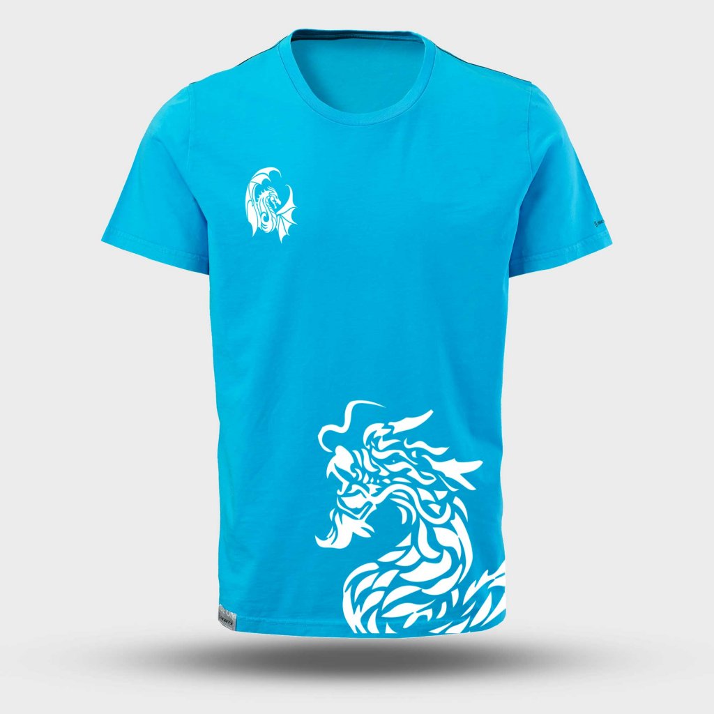 10+ Printable Blue T-Shirt template photoshop | room surf.com