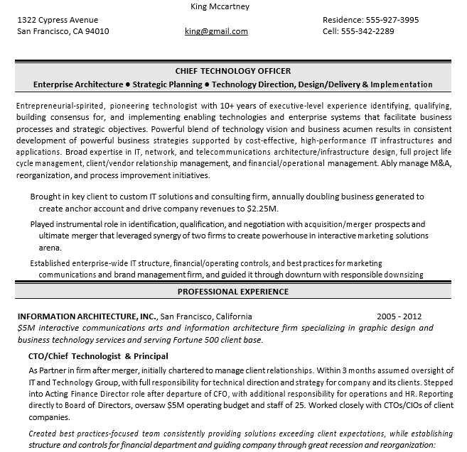 Chief Technology Officer Executive Resume PDF Download
